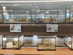 -帕帕拉兹宠物(亚洲旗舰店)