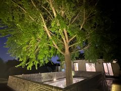 -自如ZSPACE四合院艺术餐厅