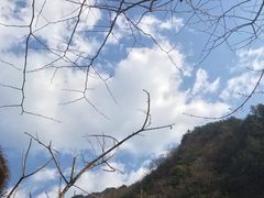 -罗田天堂寨风景区