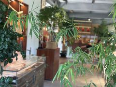 -云座·时光·观景咖啡厅(五爷庙店)