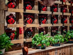 -泥糊破店小酒馆·团建聚餐(南京西路店)