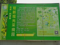 -双新观光采摘园