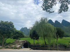 -村上春树