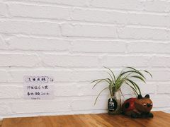 -YLK云南小粒咖啡·云里咖(二号店)