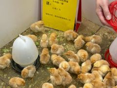 -大润发(东台店)