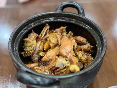 -斯丹姜母鸭·古法干香(泉州总店)