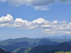 -栾川竹海野生动物园
