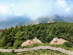 -白草畔自然风景区