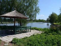 -白渔泡湿地公园