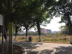 -广东花都湖国家湿地公园