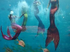 -瑞德姆美人鱼海底演艺主题餐厅(亚龙湾店)