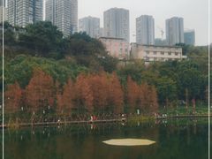 -重庆彩云湖湿地公园