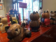-猫咪博物馆(顶澳仔猫街店)