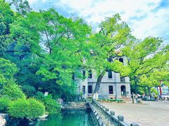 -江心屿景区