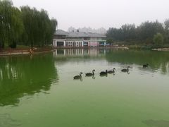 -燕郊植物园