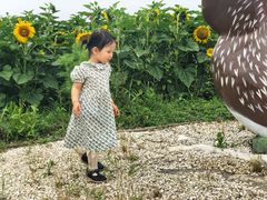 -米果果小镇