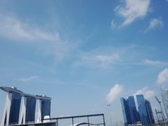 -新加坡文华东方酒店