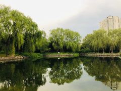 -望湖公园