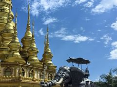 -西双版纳勐泐文化旅游区