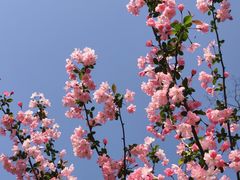 -上海辰山植物园