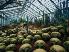 -南通洲际绿博园