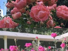 -人民公园(罗湖区)