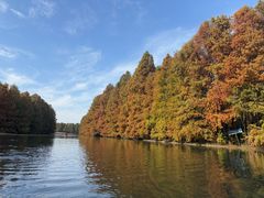 -上海海湾国家森林公园