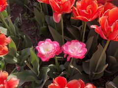 -国家植物园南园