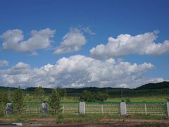 -塞罕坝国家级自然保护区