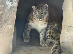 -青藏高原野生动物园