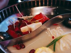 -辣伍鲜毛肚老火锅(元一店)