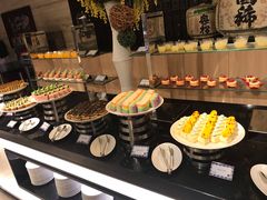 -新加坡乌节希尔顿酒店 (SG Clean)