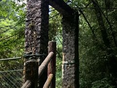 -西岭雪山大飞水景区