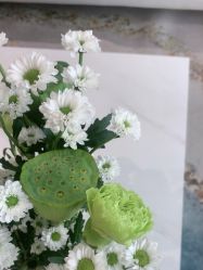 -HEYAN长风荷妍专业脱毛美肤
