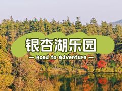 -南京银杏湖乐园