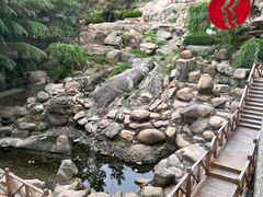 -泰安东尊华美达广场酒店(泰山景区店)