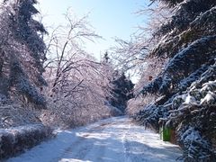 -长春市南湖公园