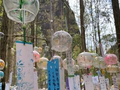 -剑门关风景区
