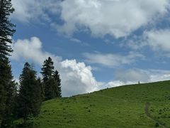 -新疆那拉提国家旅游度假区