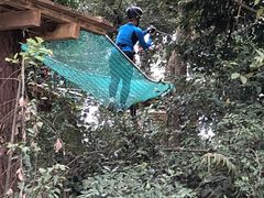 -芦仙山景区-飞越丛林探险乐园