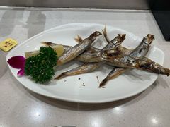 -新一番三文鱼寿司(大东海店)