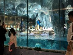 -帝企鹅自助餐厅•儿童岛•真企鹅(长隆企鹅酒店)