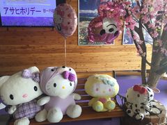 -富田农场