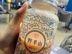 -野萃山·潮汕厚果汁(十亩地店)