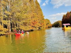 -上海海湾国家森林公园