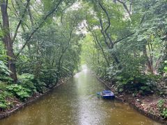 -上海滨江森林公园
