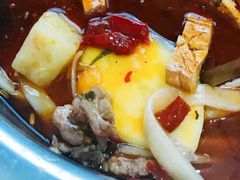 -水碾河肥兔火锅(水碾河店)