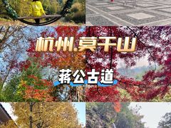 -莫干山风景区