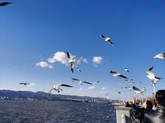 -海埂大坝