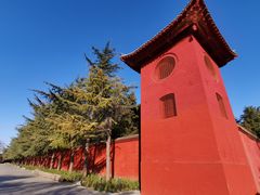 -洛阳白马寺